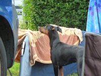 Cadzand Sept.2012-049  ...